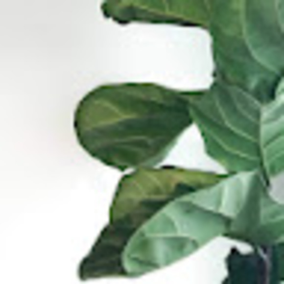 Meet your Posher, Laura - Picture 1 of 1